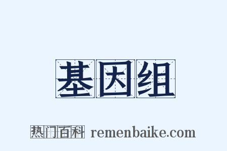 基因组是什么意思的图片